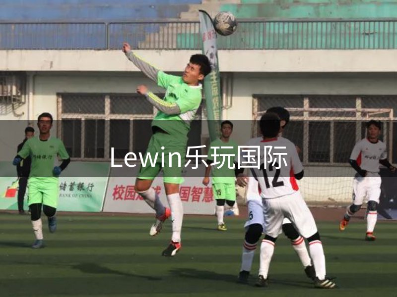 网站概况